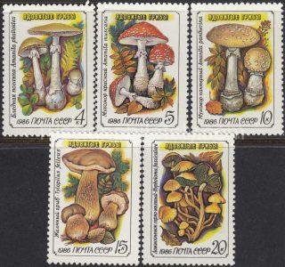 1986 Sc 5655-5659 Mushrooms Scott 5454-5458