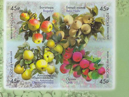 2019 Sc 2456-2459 Apples of Russia Scott 8009 2019 Sc 2456-2459 Apples of Russia Scott 8009