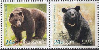 2020 Sc - Bears Scott 8222