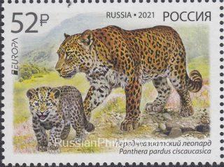 2021 Sc - Persian Leopard Scott 8224