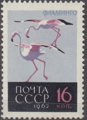 1962 Sc 2707Ka Greater Flamingo Scott 2687