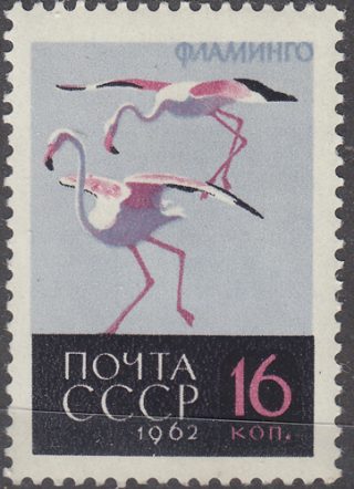 1962 Sc 2707Ka Greater Flamingo Scott 2687