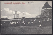 1914 Solovetsky Monastery. Gulls 1914 Solovetsky Monastery. Gulls