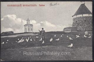 1914 Solovetsky Monastery. Gulls