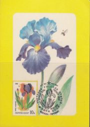 1987 Pocket calendar. Plants of the Russian steppes 1987 Pocket calendar. Plants of the Russian steppes