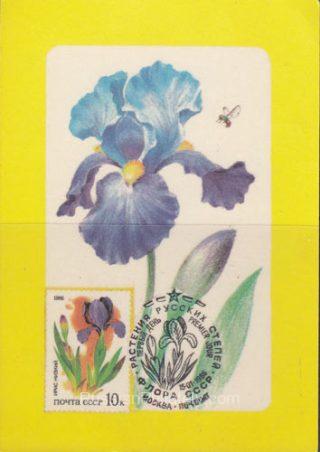 1987 Pocket calendar. Plants of the Russian steppes