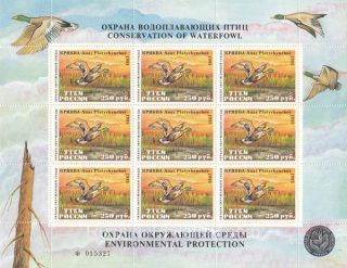 1995 Conservation of Waterfowl Stamp Sheet