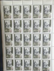1967 SC 3476 Baltic Health Resorts Scott 3402 1967 SC 3476 Baltic Health Resorts Scott 3402