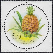 2003 Sc 881 Pineapple Scott 6793 2003 Sc 881 Pineapple Scott 6793
